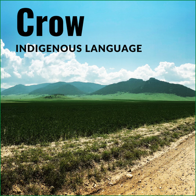 Crow Indigenous Language course image with green fields and mountains