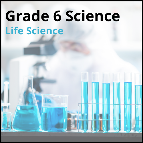 Grade 6 Science graphic